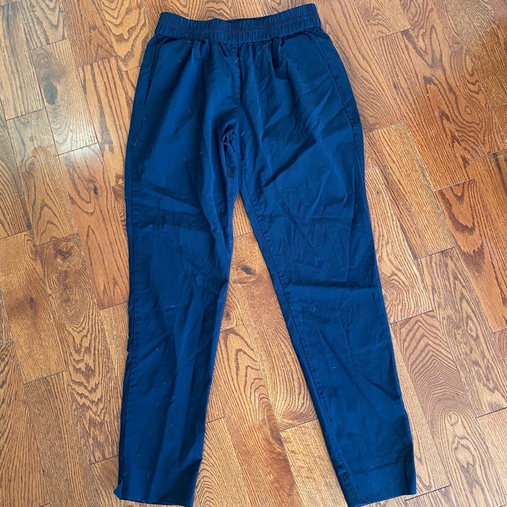 JCrew size 2 elastic waist pants